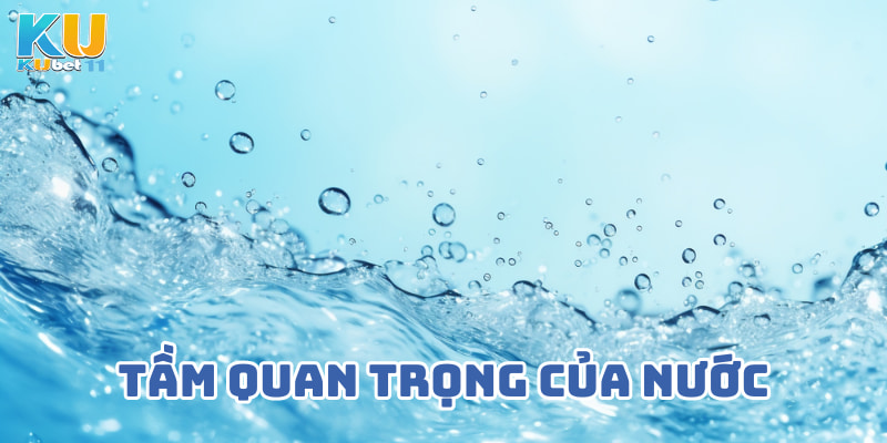 tam-quan-trong-cua-nuoc